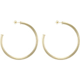 Sheila Fajl - Everyday Hoop