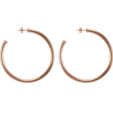 Sheila Fajl - Everyday Hoop