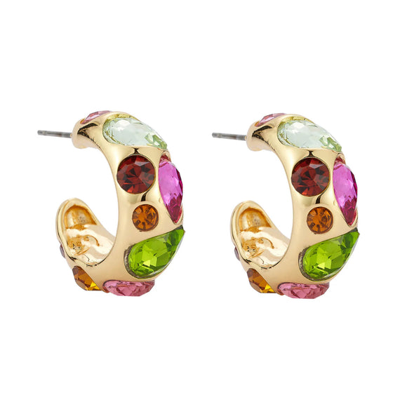 Mignonne Gavigan - Cassidy Hoops in Multi