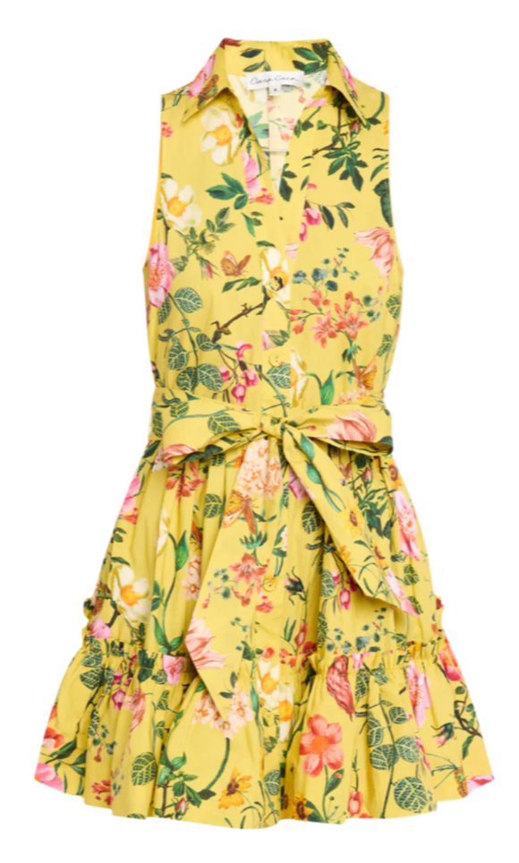 Cara Cara - Hannah Mini Dress in Stems Yellow