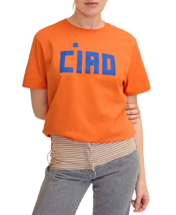 Clare V. - Original Tee in Zucca with Cobalt  Block Ciao
