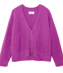 Xirena - Milli Sweater in Bright Purple