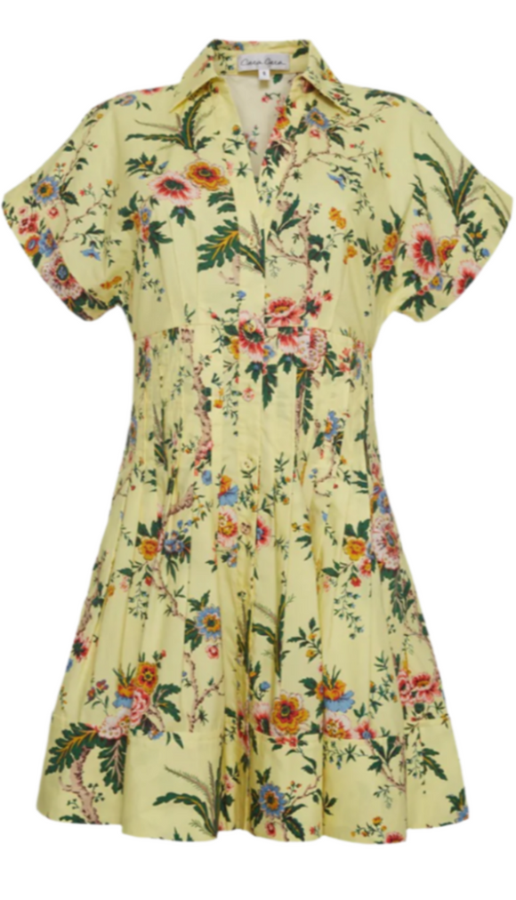 Cara Cara - Nash Mini Dress in Chintz Yellow