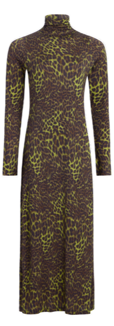Marie Oliver - Paxton Dress in Grasslands