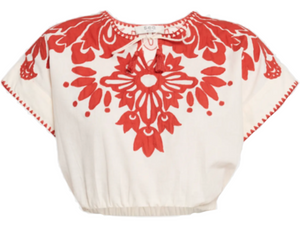 Sea - Liliana Applique Top in Red